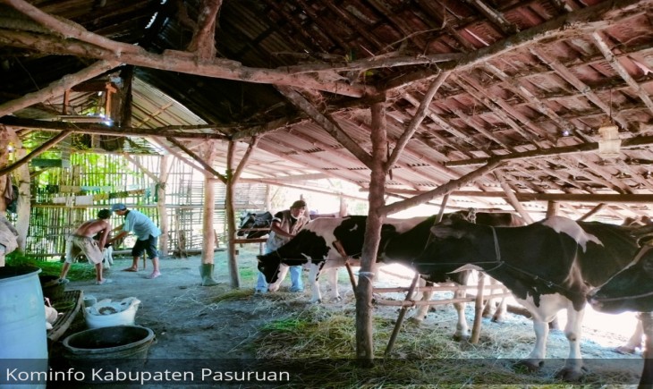 Peternakan di daerah Kabupaten Pasuruan (komifo Pasuruan)