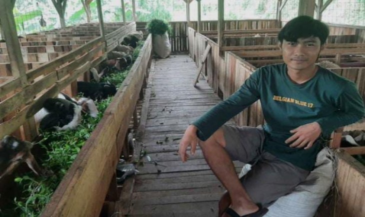 Kesuksesan Tedi menjadi inspirasi bagi para pemuda dan peternak lainnya (Istimewa)