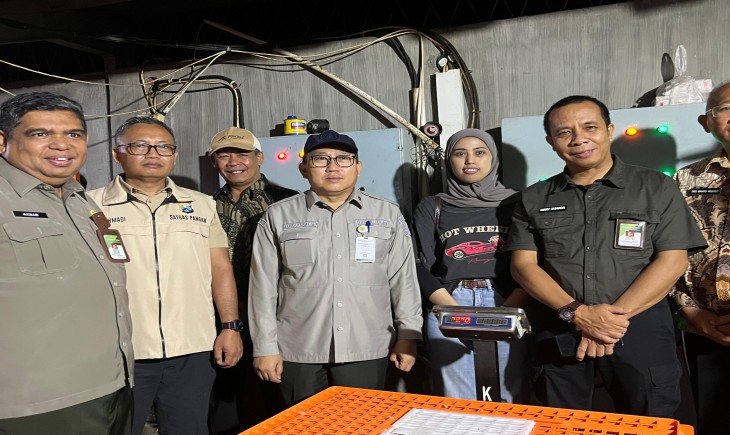 Kementan Tindak Tegas Pelanggar Komitmen Harga Ayam Hidup. (Foto: dok. Kementan)