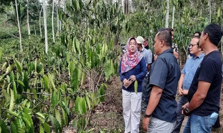 Universitas Sebelas Maret saat mendampingi petani kopi Temanggung (Universitas Sebelas Maret)