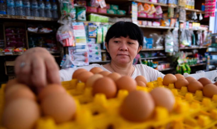 "Ilustrasi" pakar sebut Stabilitas Harga Pangan Jadi Penopang ekonomi Indonesia. (Foto: iStockphoto)