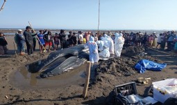 world-news