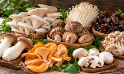 world-news