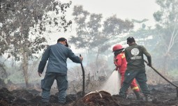 world-news