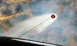 world-news