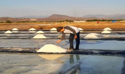 world-news