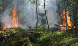 world-news