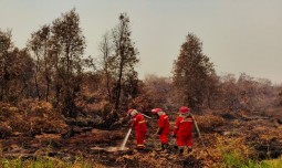 world-news