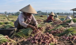 world-news