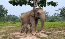 world-news
