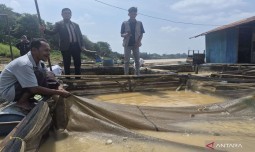 world-news