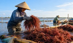 world-news