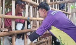 world-news