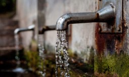 world-news