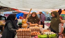 world-news