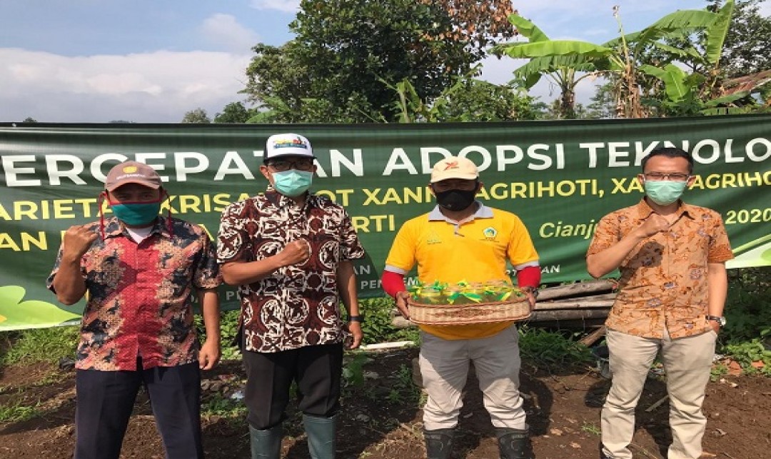 Foto : Penyerahan Bantuan Benih Krisan Kepada Kelompok Tani Hijau Daun