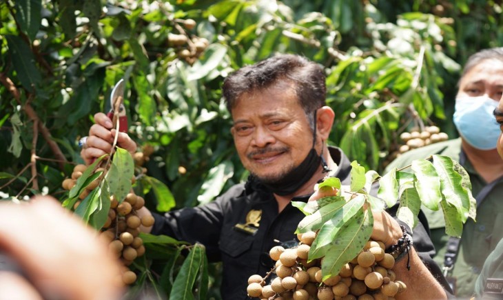 Foto : Menteri Pertanian Syahrul Yasin Limpo Saat Meninjau Kawasan Kebun Agrowisata Buah Kelengkeng Borobudur di Kabupaten Magelang.
