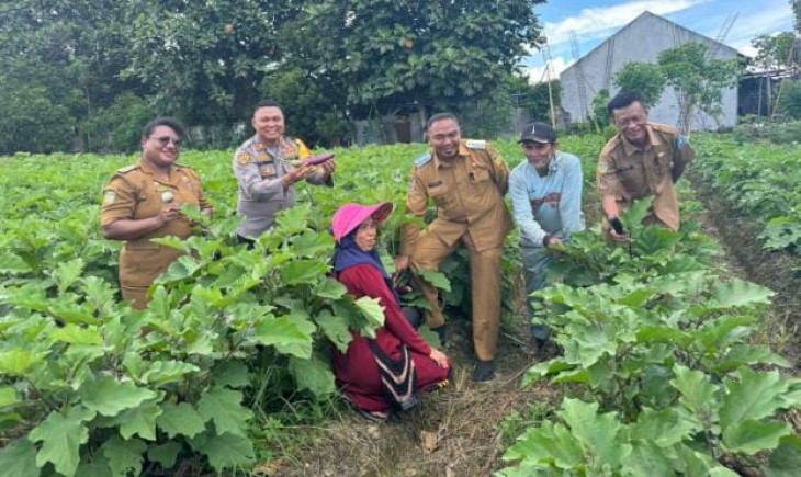 Pj Bupati Jayapura Triwarno Purnomo menjelajahi kebun petani mandiri di daerah Toware dan Doyo Lama, Distrik Waibu. (Pemkab Jayapura)