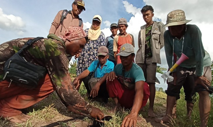 Foto : Gerakan Pengendalian (Gerdal) burung manyar di Kecamatan Dadahup, Kapuas (23/2).