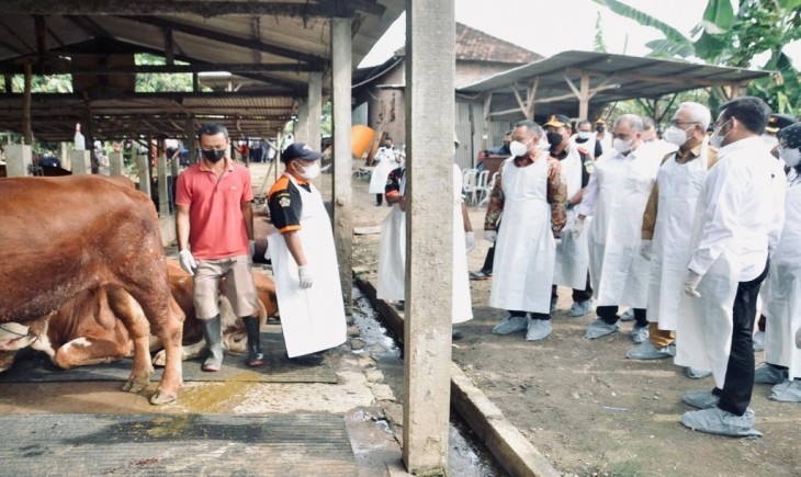 Foto : Mentan SYL Pastikan Penanganan PMK Terus Dilakukan Secara Maksimal.