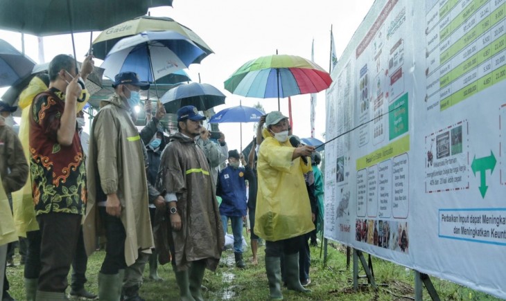 Foto : Mentan Melakukan Kunjungan Kerja ke Desa Lamuk, Wonosobo.