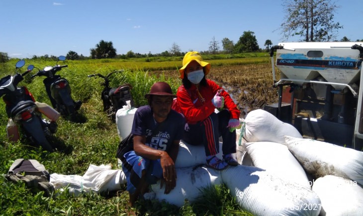 Foto : Kampung Bokem Distrik Merauke Merupakan Salah Satu Kampung Pemasok Padi dan Cukup Berkontribusi Bagi Kab. Merauke, Papua.