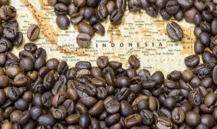 Ilustrasi kopi Indonesia. (IST)