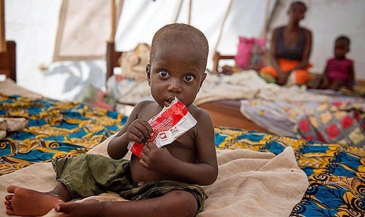 55 juta warga Afrika Barat dan Tengah terancam krisis pangan akut. (Foto : Anadolu)