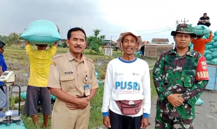 Apresiasi Kebijakan Pemerintah, Harga Gabah Saat Panen Raya Buat Petani Full Senyum. (Foto: dok. Kementan)