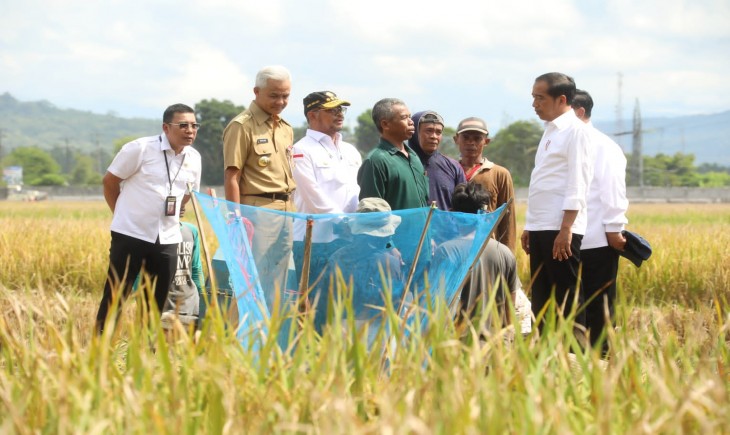 Foto : Mentan SYL saat mendampingi Presiden Jokowi dalam panen raya nusantara di Kabupaten Kebumen, Jawa Tengah, Kamis, 9 Maret 2023.