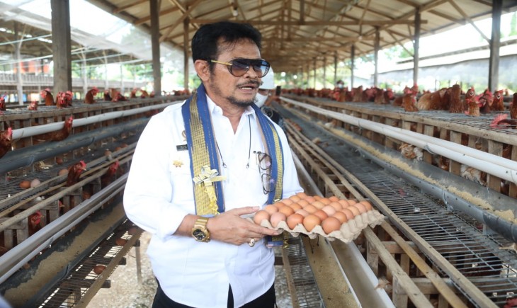 Foto : Jelang Nataru Produksi Telur Aman.