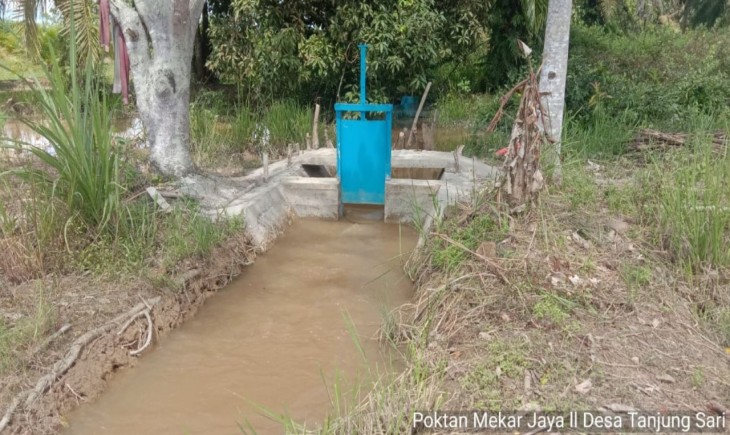 Foto : Pelaksanaan Optimasi Lahan Rawa di Indragiri Hulu.