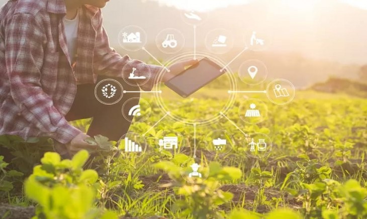 Ilustrasi - Smart farming/ Terapkan Konsep Smart Farming, Petani Milenial Ikuti Ajang Young Ambassador Agriculture. (Pixabay)