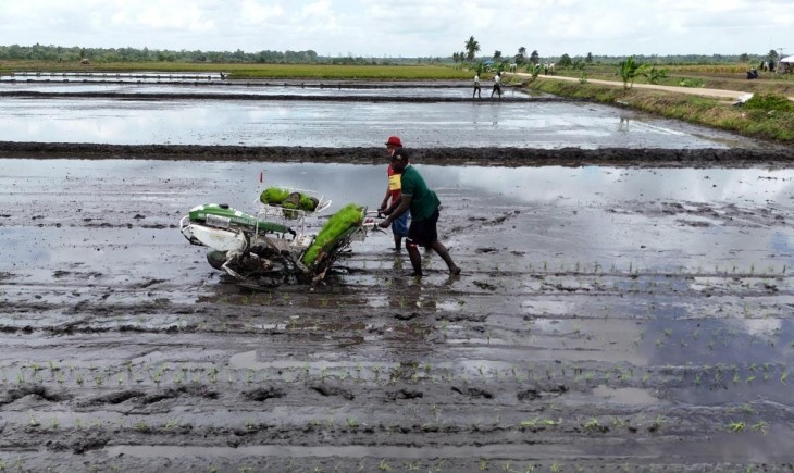 Swasembada pangan berkelanjutan. (Foto: Kementan)