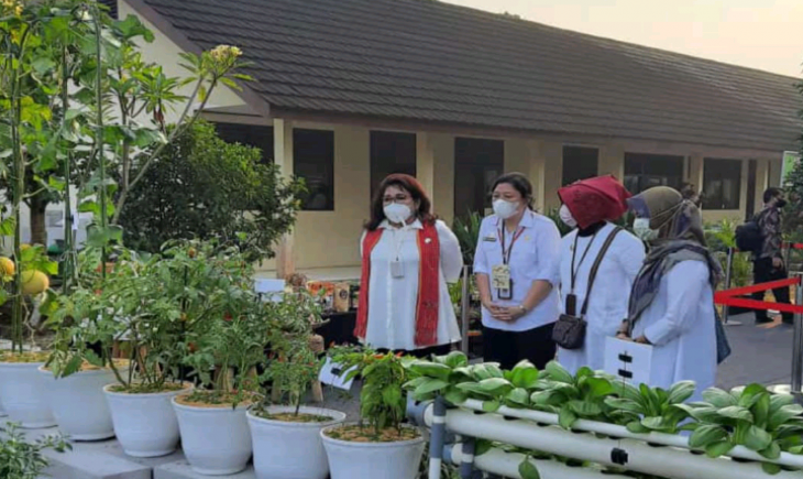 Foto : Bantuan Benih Tanaman Hortikultura.