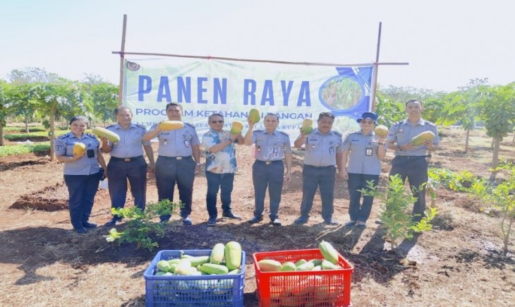 Warga binaan Lapas Kupang berhasil panen raya pepaya California. (Foto : ditjenpas)