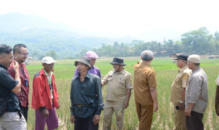 CEK : Pemkab Bogor saat melakukan pengecekan lahan pertanian di Sukamakmur (Egi/Pangannews.id)