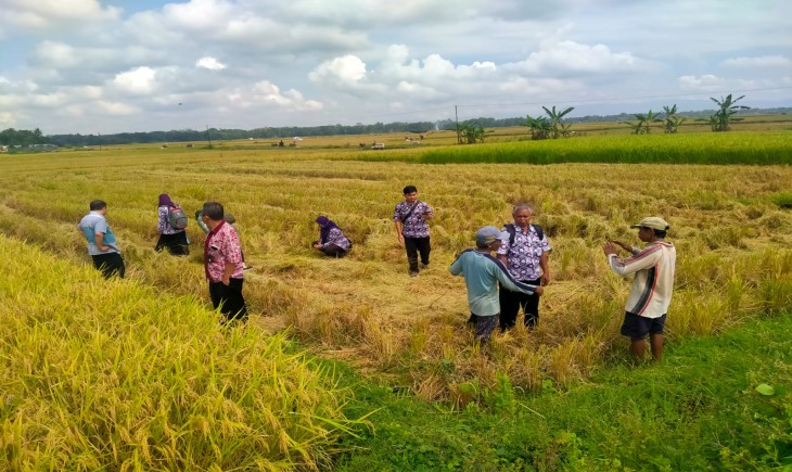 Foto : Panen Raya Padi di Desa Sumberejo, Kecamatan Purwodadi, Sabtu, 11 Maret 2023.