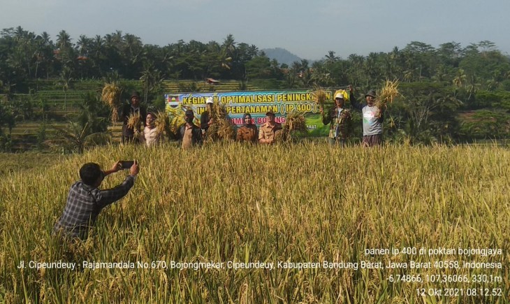 Foto : Program Optimalisasi Peningkatan Indeks Pertanaman (OPIP).