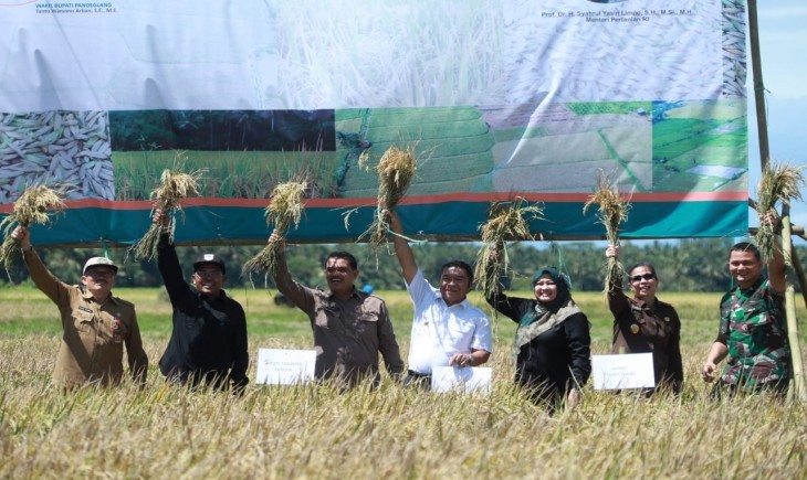 Kementan dan Pemprov Banten Dorong Produktivitas Padi, Panen Raya di Pandeglang Capai 6 Ton per Hektar. Foto (Dok. Kementan)