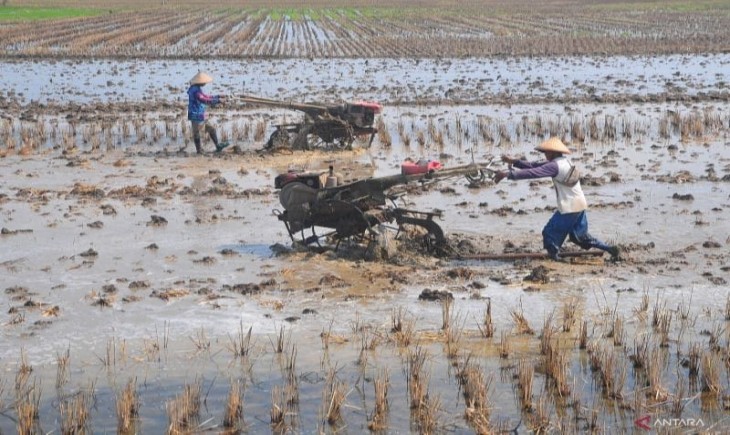 Tak Kenal Libur! Kementan Pacu Optimasi Lahan Demi Ketahanan Pangan. (Foto: dok. Kementan)