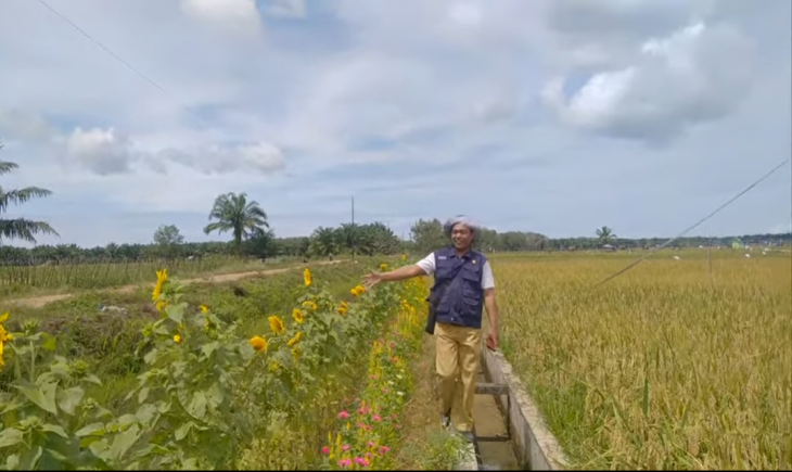 Foto : Kegiatan Pemberdayaan Petani dalam Pemasyarakatan PHT (P4).
