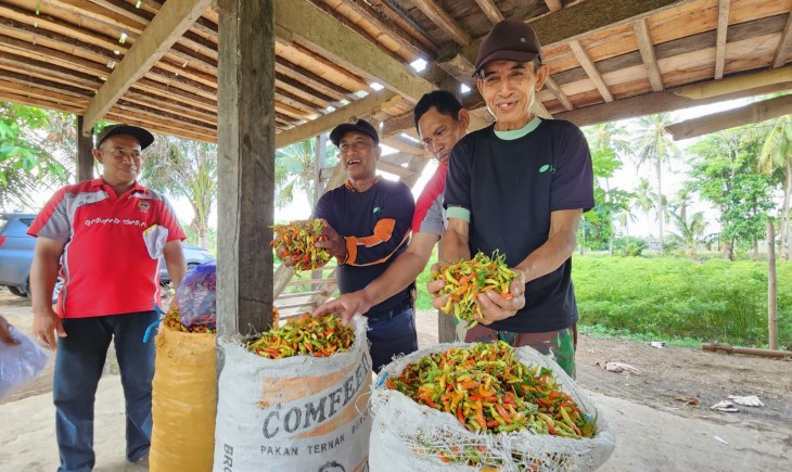 Kementan Turun Langsung Ke lapangan Pantau Ketersediaan Pangan Menjelang Nataru. (Dok. Kementan)