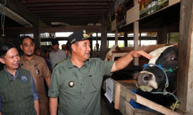 Pj Gubernur Sulawesi Selatan, Bahtiar Baharuddin saat berkunjung ke peternak Kelurahan Baru Lappa, Kecamatan Watang Pulu, Kabupaten Sidrap. (Pemprov Sulsel)