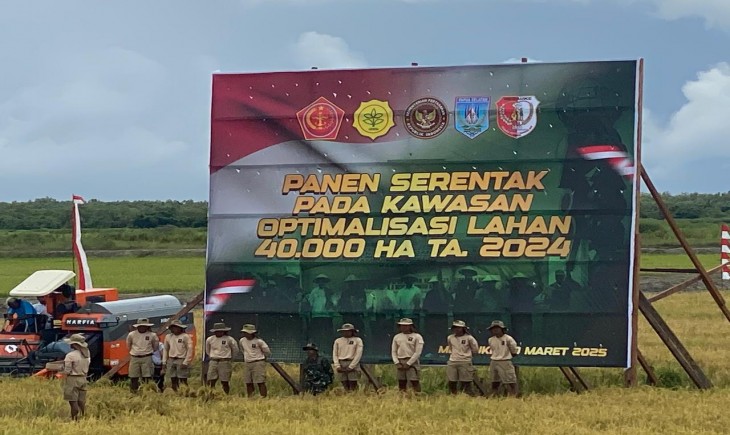 Panen Raya yang Mengubah Takdir, Masyarakat Merauke Rayakan Keberhasilan Bersama. (Foto: Dok. Kementan)