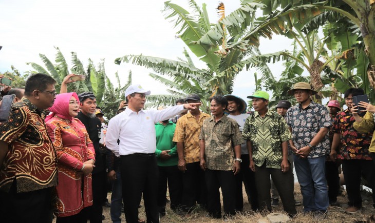 Mentan Amran di Desa Bringin, Kecamatan Godong, Kabupaten Grobogan. (Foto: Dok. Kementan)