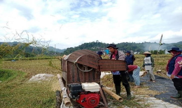 Kementan memastikan para penyuluh pertanian akan mengawal panen raya yang diprediksi pada Maret - April mendatang. (Foto: Dok. Kementan)