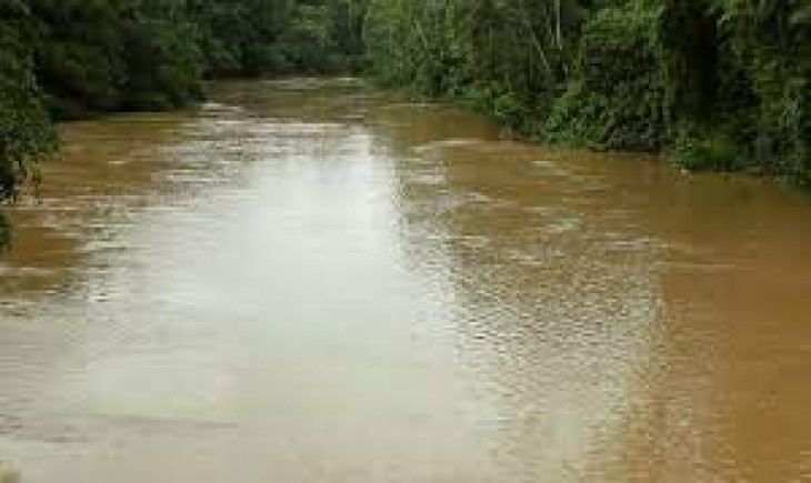 Sungai Keruh dan debit naik, hasil tangkapan nelayan PUD Lamongan merosot drastic. (Foto : ilustrasi/Shutterstock)