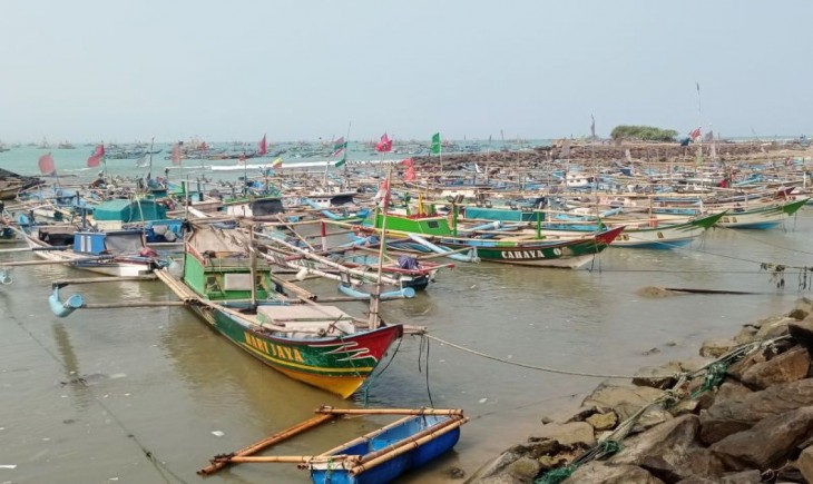 Musim ikan layur, nelayan Lebak raup Rp800 ribu per hari. (Foto : Antara)