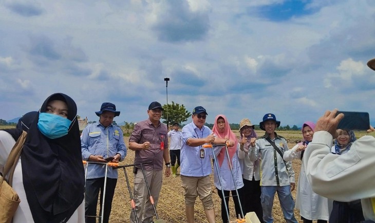 Gerakan tanam serentak padi berlangsung di Kecamatan Pelaihari, Kabupaten Tanah Laut, dengan luas lahan mencapai 515 hektar, Rabu, (25/09/2024). (Foto: Dok. Kementan)